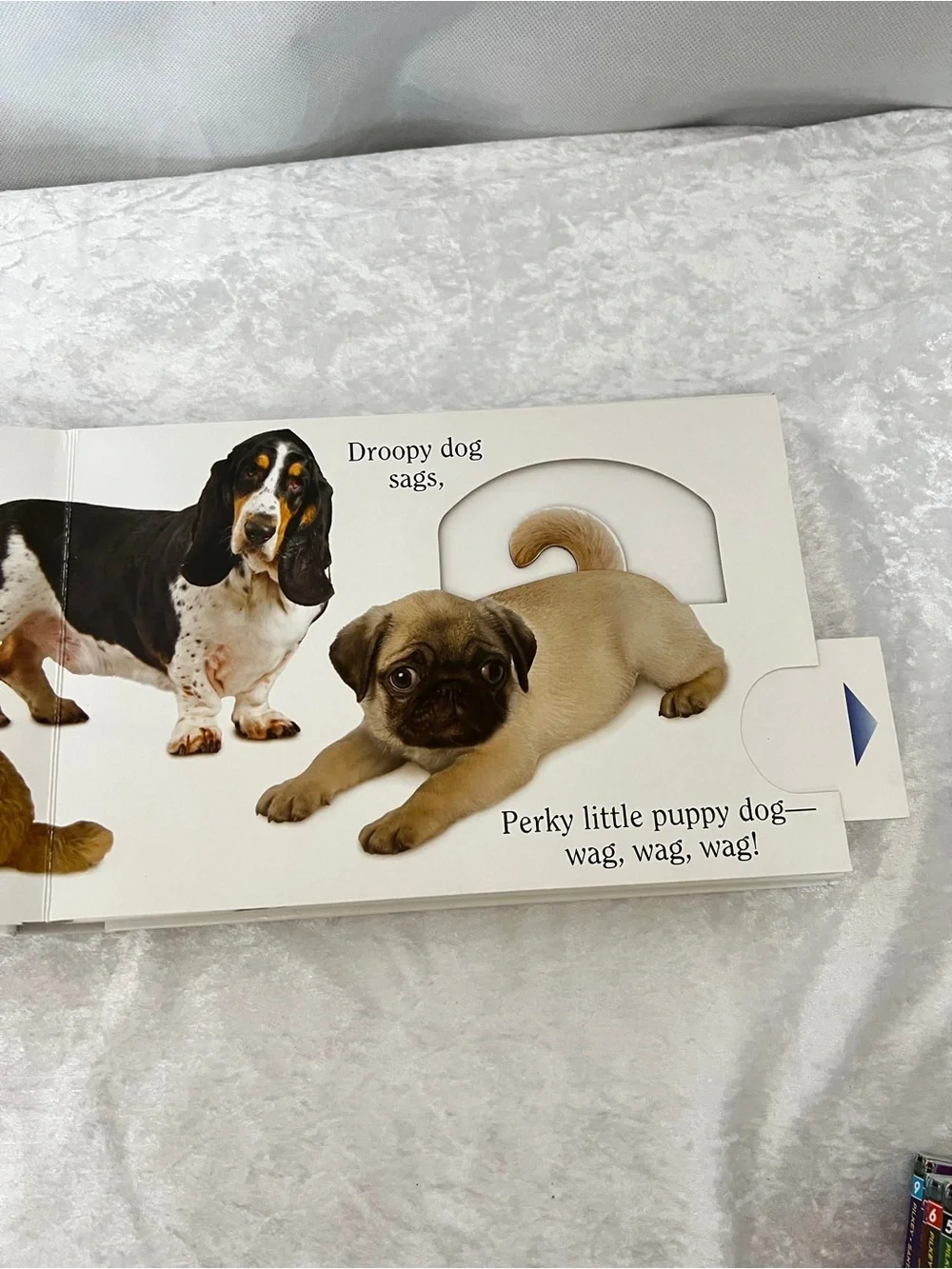 Dog Book by Matthew Van Fleet Doggone Fun for Little Ones kids